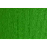 Папір для дизайну Elle Erre B2 50x70 см № 11 verde 220 гм2 зелений дві текстури Fabriano, 16712511