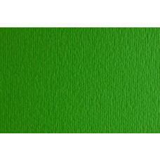 Папір для дизайну Elle Erre B2 50x70 см № 11 verde 220 гм2 зелений дві текстури Fabriano, 16712511