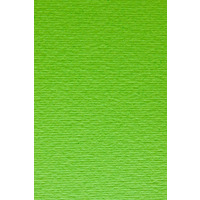 Папір для дизайну Elle Erre А4 салатовий № 10 verde picello 220 г/м2 дві текстури Fabriano, 1641010