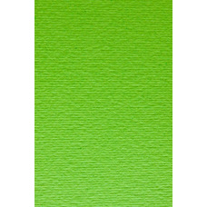 Папір для дизайну Elle Erre А4 салатовий № 10 verde picello 220 г/м2 дві текстури Fabriano, 1641010