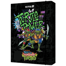 Папка для зошитів В5 на гумці картон Ninja Turtles NT25-210 Kite, 69250