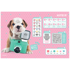 Підкладка настільна 42,5x29 см Kite Studio Pets SP22-207-02, 62834