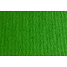 Папір для дизайну Elle Erre B1 70x100 см № 11 verde 220 гм2 зелений Fabriano, 161011