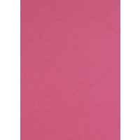 Папір для пастелі Tiziano A4 фіолетовий № 24 viola 160 г/м2 середнє зерно Fabriano, 164124