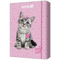 Папка для зошитів В5 на гумці картон Studio Pets SP25-210 Kite, 69247