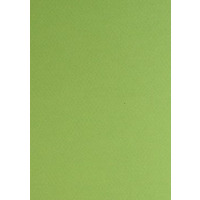 Папір для пастелі Tiziano A4 фісташковий № 43 pistacch 160 гм2 середнє зерно Fabriano, 164143