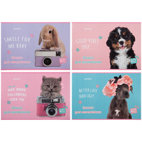 Альбом для малювання 12 аркушів скоба Studio Pets Kite SP23-241, 65308