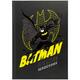 Щоденник шкільний тверда обкладинка Kite DC Comics DC25-262-1, 71197