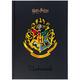Щоденник шкільний тверда обкладинка Kite Harry Potter HP25-262-2, 71200