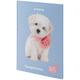 Щоденник шкільний тверда обкладинка Kite Studio Pets SP24-262-3, 67495