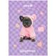 Щоденник шкільний тверда обкладинка Kite Studio Pets SP25-262-2, 71193