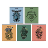 Зошит шкільний 24 аркуша лінія Kite Harry Potter HP25-239, 71786