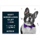 Пластилін восковий 12 кольорів 240 грам Dogs Kite K22-1086, 61048